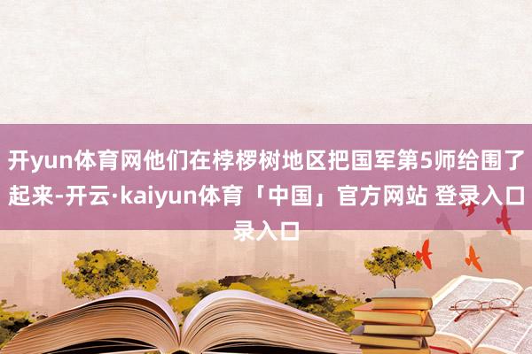开yun体育网他们在桲椤树地区把国军第5师给围了起来-开云·kaiyun体育「中国」官方网站 登录入口