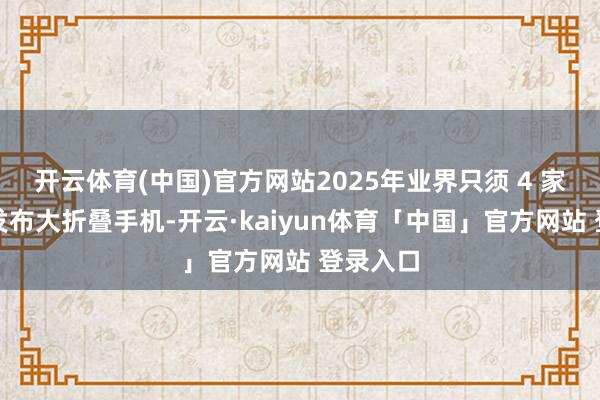 开云体育(中国)官方网站2025年业界只须 4 家厂商将发布大折叠手机-开云·kaiyun体育「中国」官方网站 登录入口